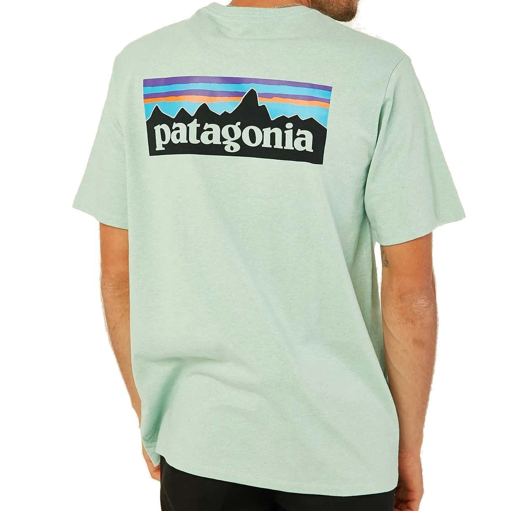 Patagonia M's P-6 Logo Responsibili-Tee Apparel Patagonia Gypsum Green S 